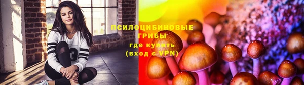 прущая мука Богданович