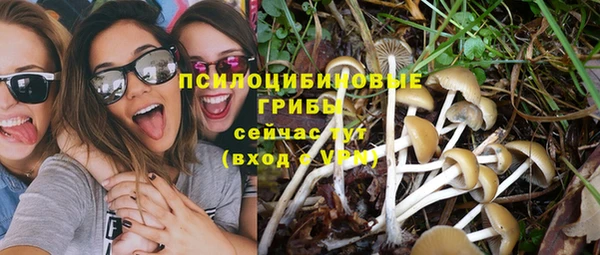 прущая мука Богородицк