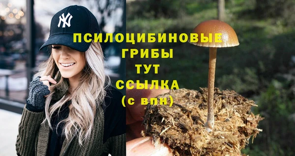 прущая мука Богданович