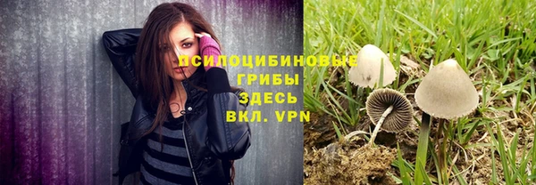 ALPHA-PVP Белокуриха