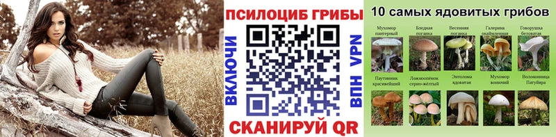 Галлюциногенные грибы Magic Shrooms  Болотное 